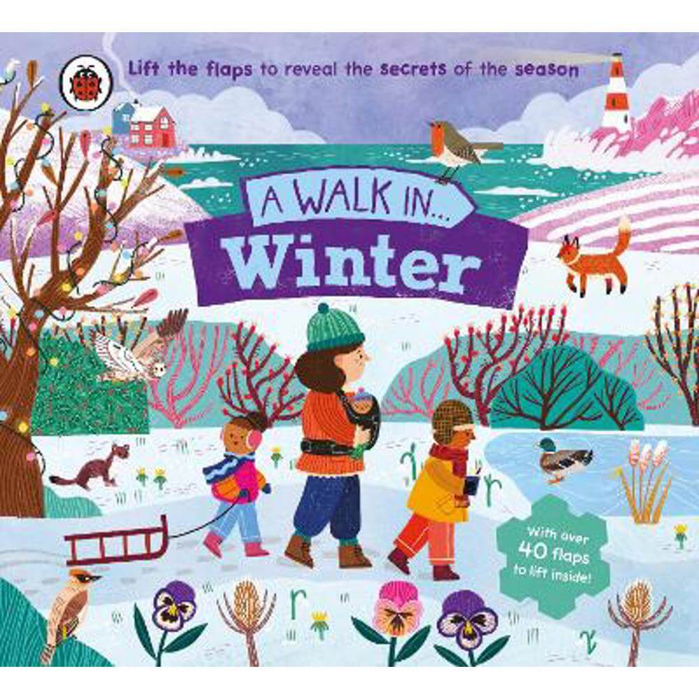 A Walk in Winter: Lift the flaps to reveal the secrets of the season - Ladybird